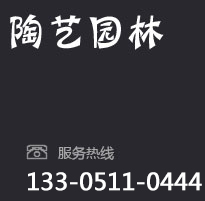大葉女貞小苗